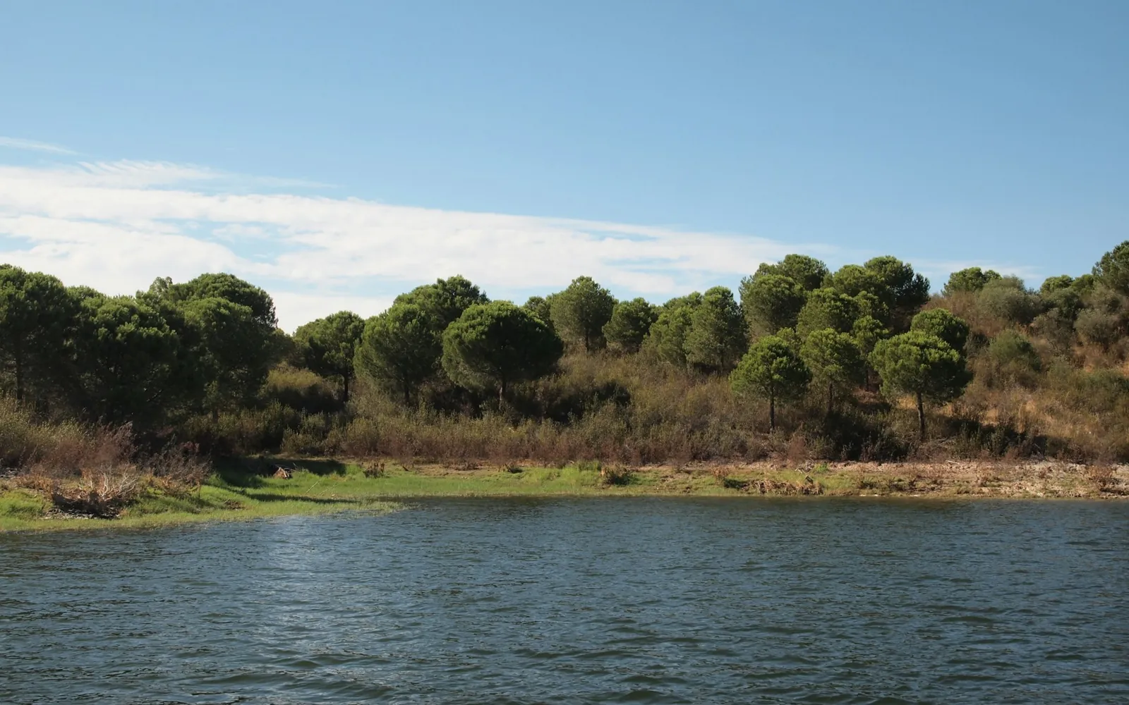 Water and a tree-lined bank at Alqueva in Portugal