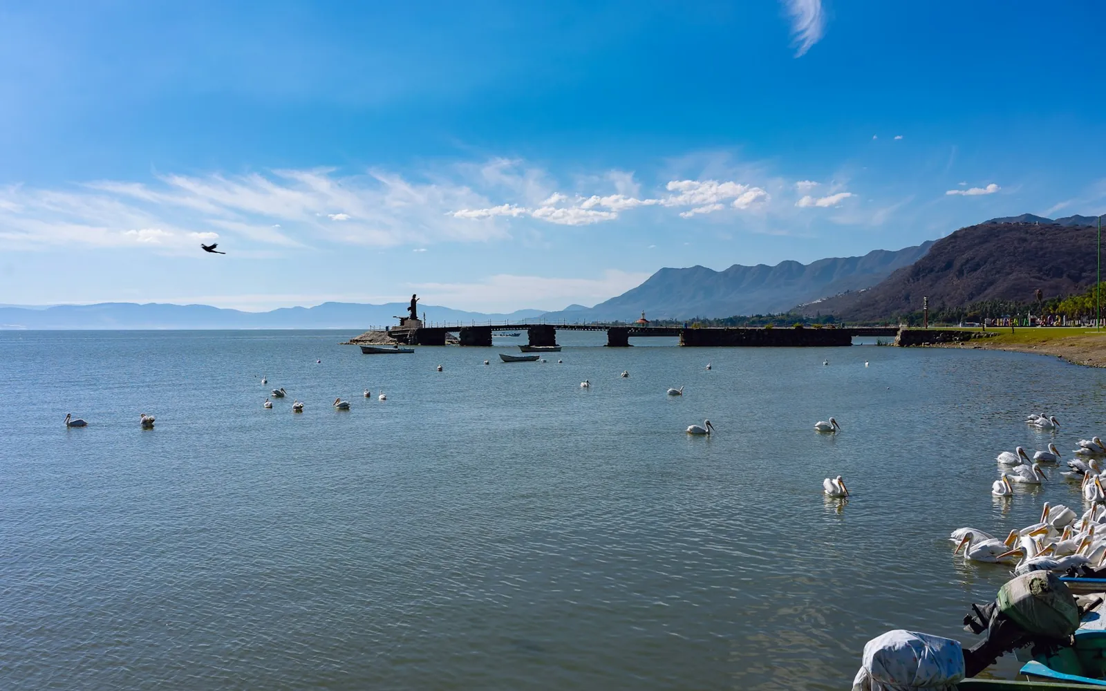 Birds beside the waterfront at Chapala, with a pier and hills across the water